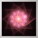 Pink flower - Poster posters