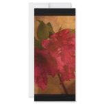 Pink Flower rack cards