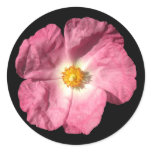 Pink Flower Stickers
