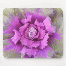 Pink Flower with Water Droplet Mousemats