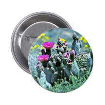 Pink Flowering Cactus