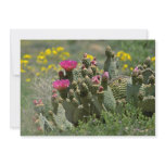 Pink Flowering Cactus flowers invitations