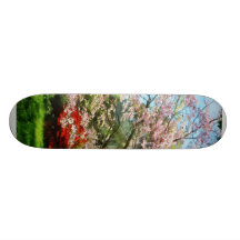 Pink Flowering Dogwood Custom Skateboard