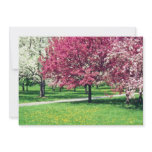 Pink Flowering trees flowers invitations
