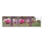 Pink Flowers among the trees flowers Bumper Stickers