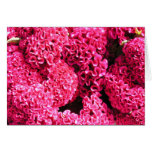 Pink Flowers Card