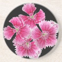 pink Flowers Coaster