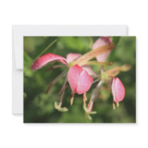 Pink Flowers Invitation