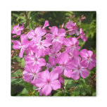 Pink Flowers magnets