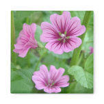 Pink Flowers Magnet