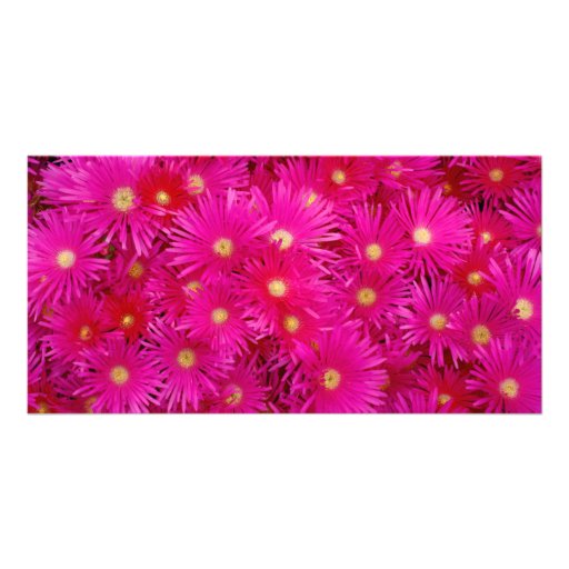 Pink flowers photo card