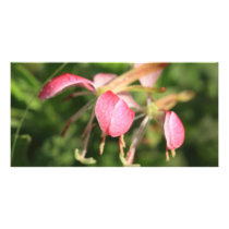 Pink Flowers Photo Card