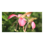 Pink Flowers Photo Card photo cards