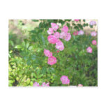 pink flowers postcards