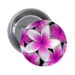pink frangipani