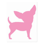 Pink Funny Chihuahua Post Card