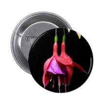 Pink Fuschia