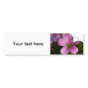 Pink Geranium bumper stickers