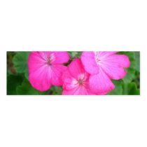 Pink Geraniums Bookmark