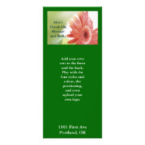Pink Gerbena Daisy rack cards