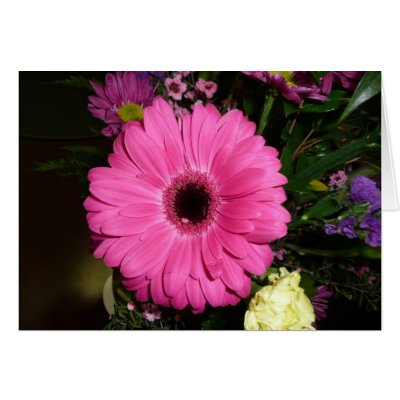 Pink Gerber Greeting Card by bkang22