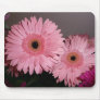 Pink Gerber Daisy Mouse Mat