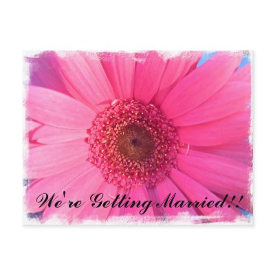 Pink Gerber Daisy Wedding Invitation Post Card by jennhorton