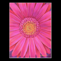Pink Gerber Flower Painting - Multi postcards