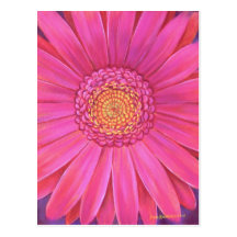 Pink Gerber Flower Painting - Multi Post Card