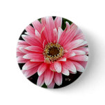 Pink Gerbera buttons