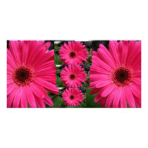 Pink Gerbera Daisies Personalised Photo Card