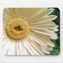 Pink Gerbera Daisy Flower Mouse Pad