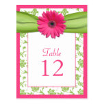 Pink Gerbera Daisy Green Damask Table Number Card Post Cards