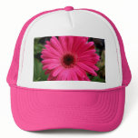 Pink Gerbera Daisy hats