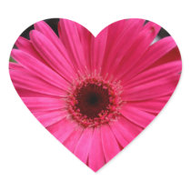 Pink Gerbera Daisy Heart Stickers