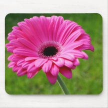 Pink Gerbera Daisy Mousepad