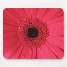 Pink Gerbera Daisy Mousepad