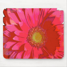 Pink Gerbera Daisy Mousepad