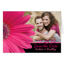 Pink Gerbera Daisy Photo Save the Date Card