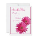 Pink Gerbera Daisy Save the Date Card invitations