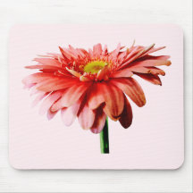 Pink Gerbera Daisy Side View Mouse Pad