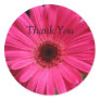 Pink Gerbera Daisy Round Sticker