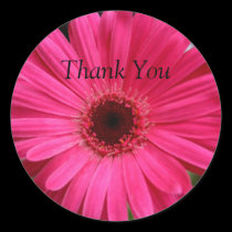 Pink Gerbera Daisy stickers