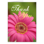 Pink Gerbera Daisy Thank You note Card