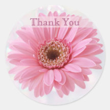 Pink Gerbera daisy Thank you Sticker