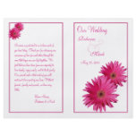 Pink Gerbera Daisy Wedding Program flyers