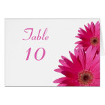Pink Gerbera Daisy Wedding Table Card