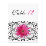 Pink Gerbera Daisy Wedding Table Number Card Postcards