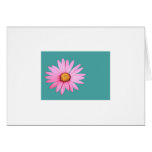 Pink Gerbera on Aqua cards