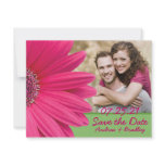 Pink Gerbera Photo Save the Date Card invitations